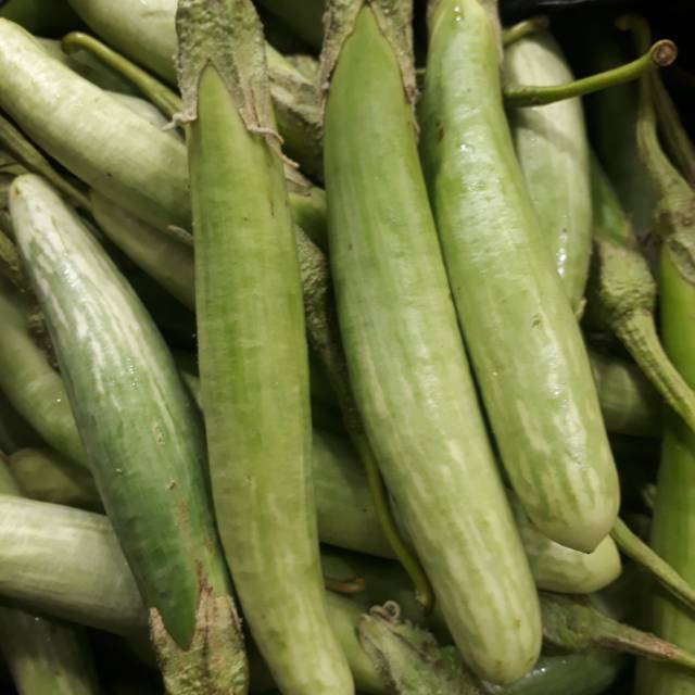 Terong Telunjuk Medan 1kg Shopee Indonesia