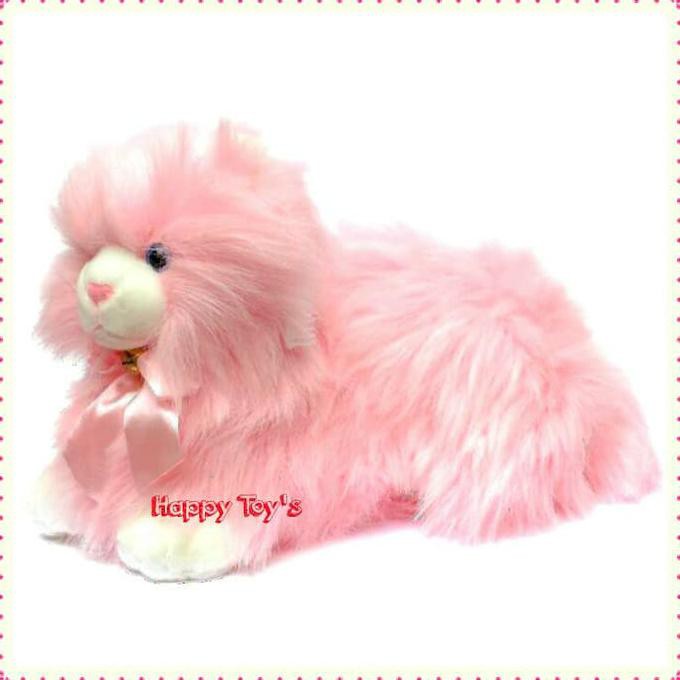 Gambar Kucing Anggora Warna Pink 81021+ Nama Untuk Kucing Comel, Lucu