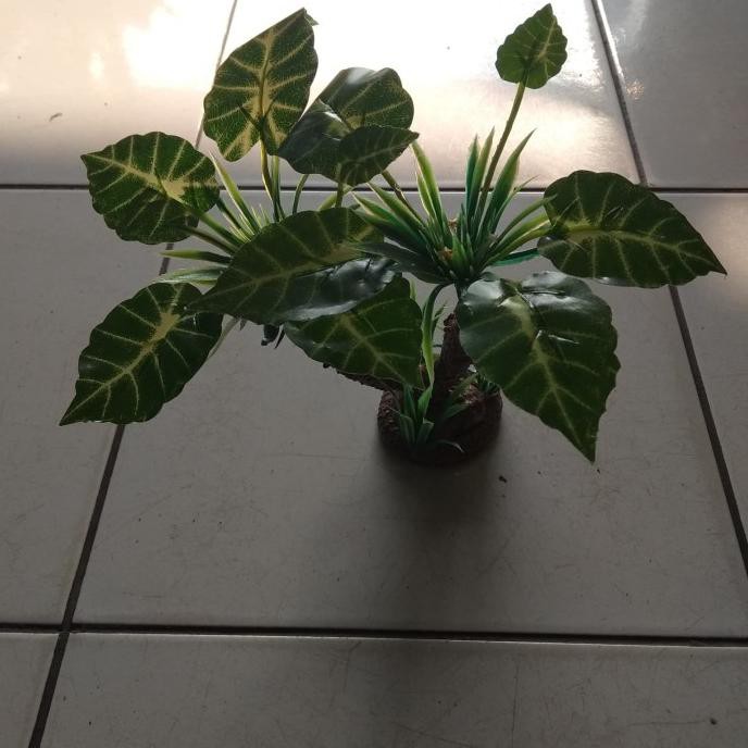Jual Aquarium aquascape hiasan dasar pohon daun bonsai ornament replika