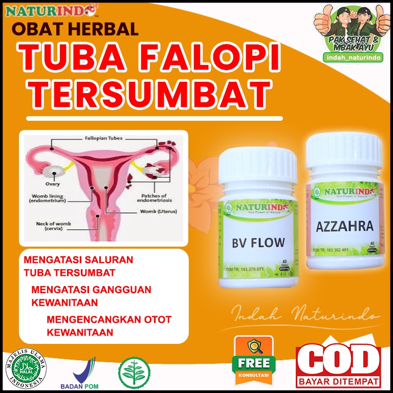 Jual Tuba Falopi Tersumbat Obat Hidrosalping Obat Tuba Falopi Tersumbat