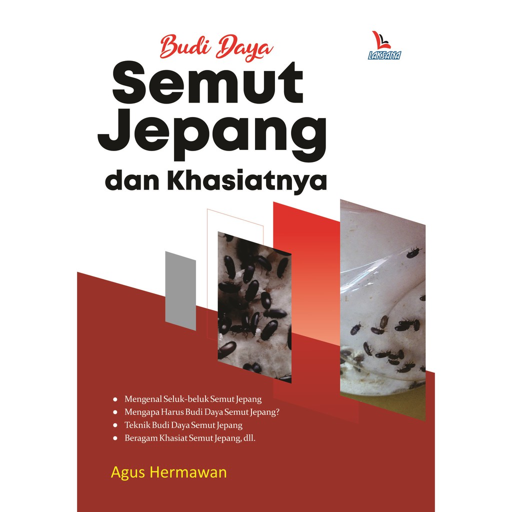 Jual Budi Daya Semut Jepang dan Khasiatnya Indonesia|Shopee Indonesia
