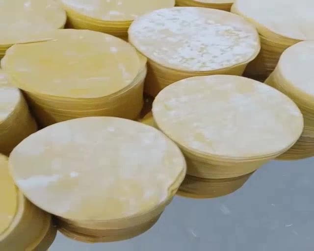 Kulit dimsum tipis halal lembut anti lengket siomay isi 50 gyoza