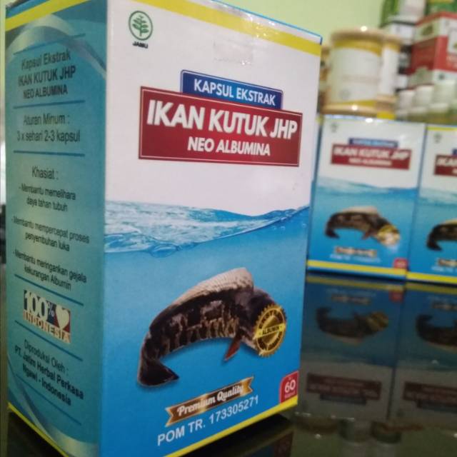 Kapsul ikan kutuk jhp gabus albumina Shopee Indonesia