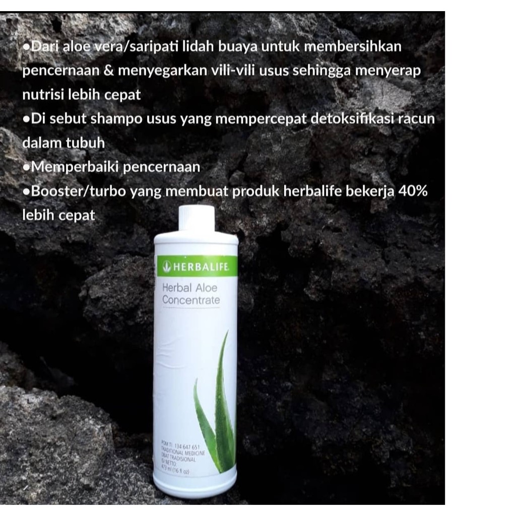 Cek Manfaat Aloe Herbalife Untuk Miss V Khasiat Manfaat 2022