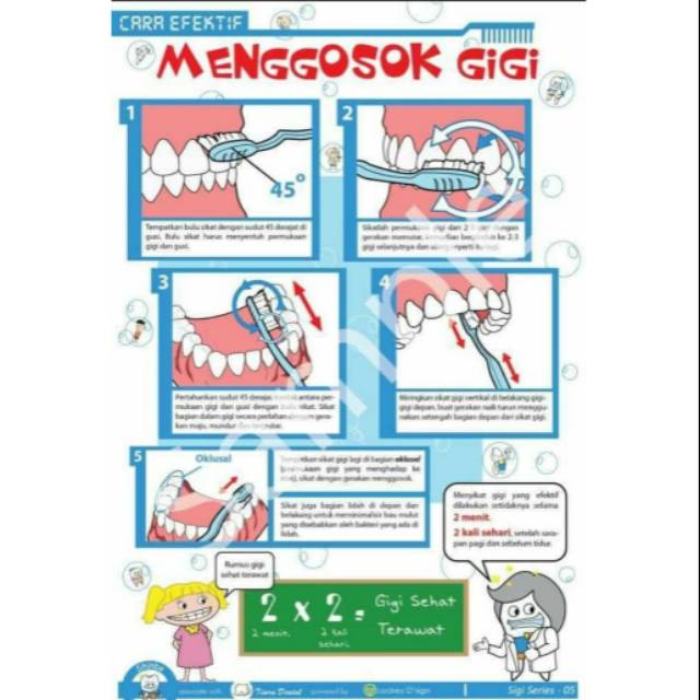Poster gigi Cara menggosok gigi | Shopee Indonesia