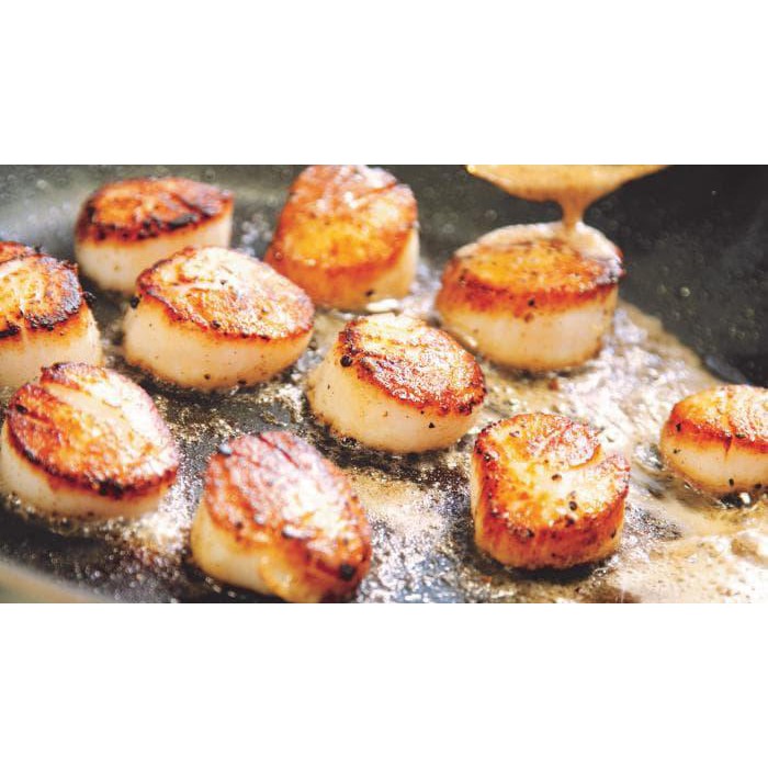 Jual Japanese Dried Scallops / Scallop Ganbei Conpoy / Dry Seafood