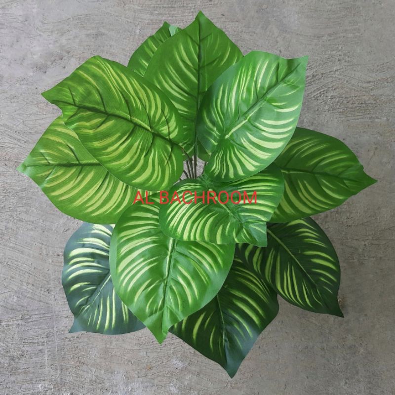 TANAMAN PALSU KELADI ZEBRA HIAS ARTIFICIAL Shopee Indonesia