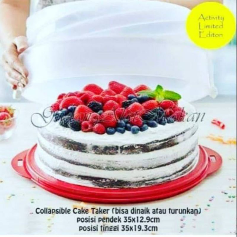 Jual tempat kue tart Tupperware Collapsible cake taker round tupperware