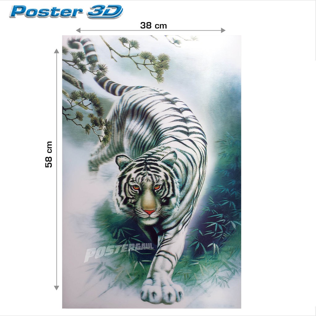 Terkeren 15+ Gambar Harimau Putih Keren 3d Arka Gambar