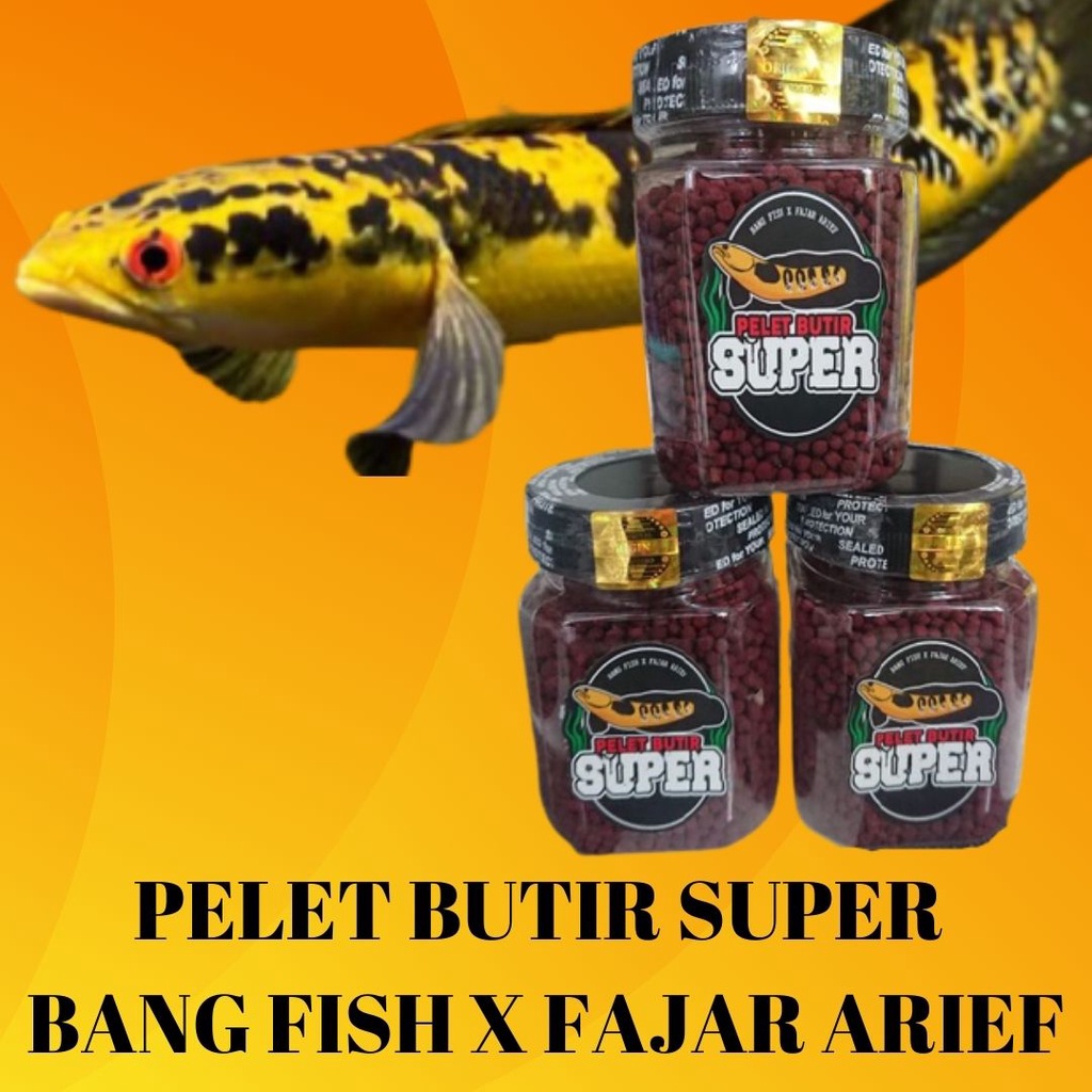 Jual Pelet Butir Super Bang Fish x Fajar Arief 20 GRAM IKAN Channa CANA CHANA Shopee Indonesia