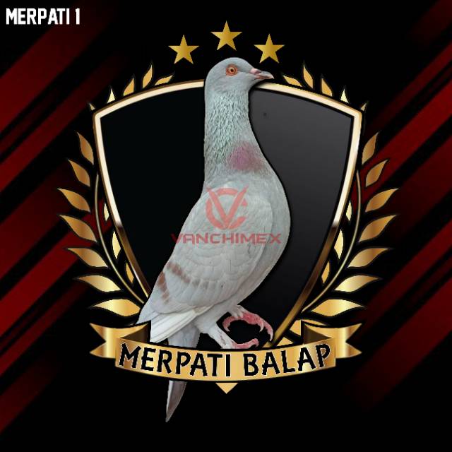 Jual Logo Merpati Desain | Jasa Logo Komunitas Burung Indonesia|Shopee Indonesia 640_X_640_jpg