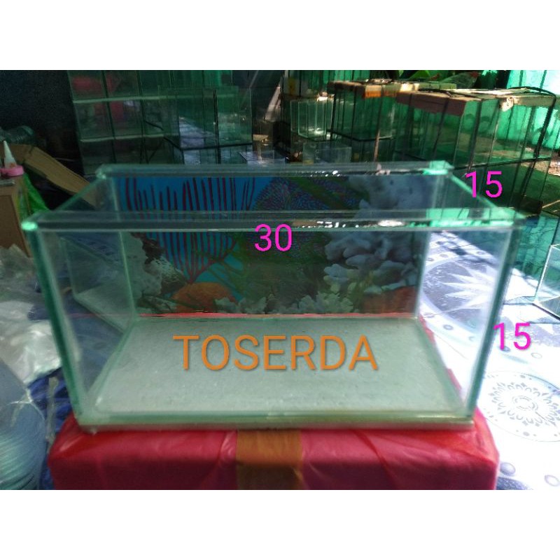 Aquarium 30x15x15 Aquarium Mini Aquarium Aquascape