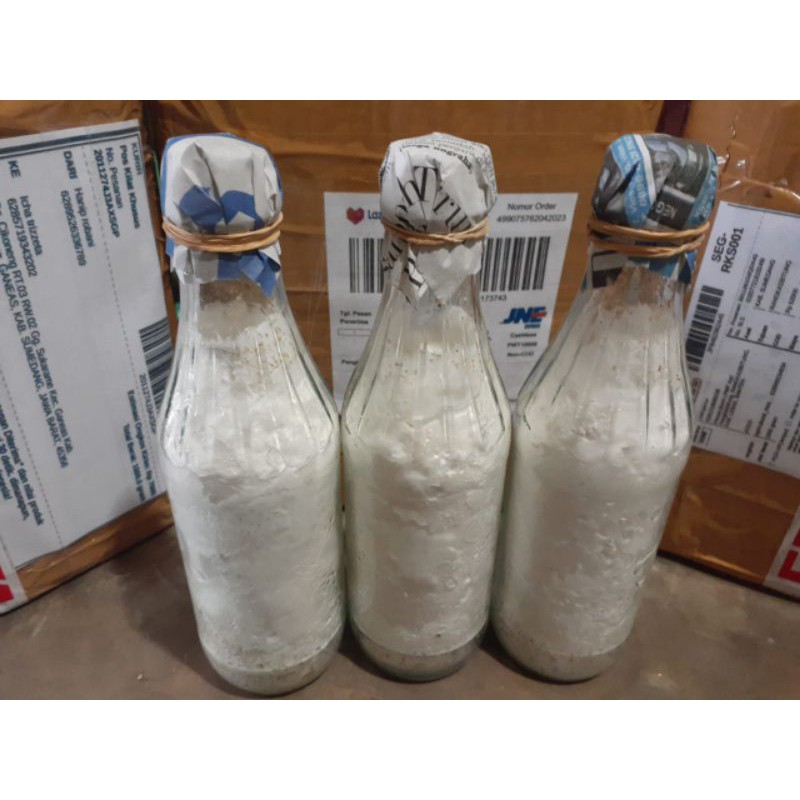 Bibit jamur tiram coklat F2 Shopee Indonesia