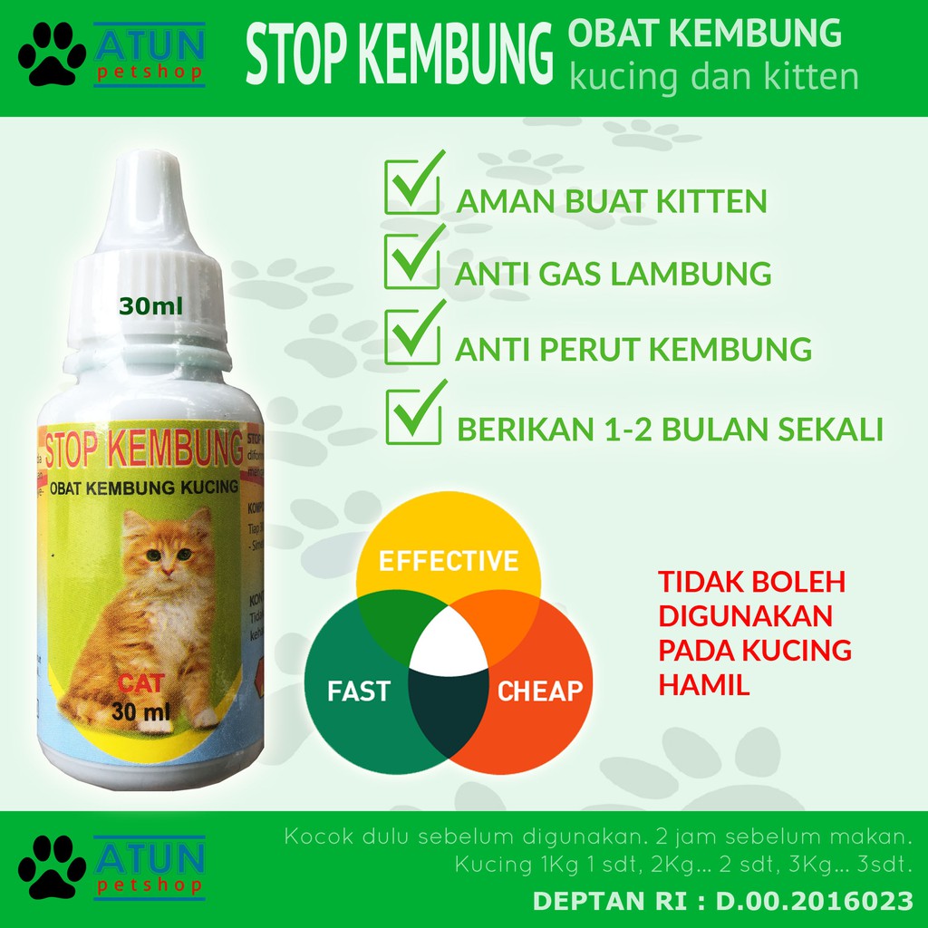 Minyak But But Untuk Luka Kucing MINYAKOL
