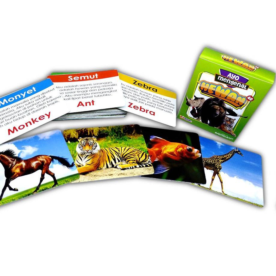 Tebak Gambar Kuda Zebra Tebak Gambar