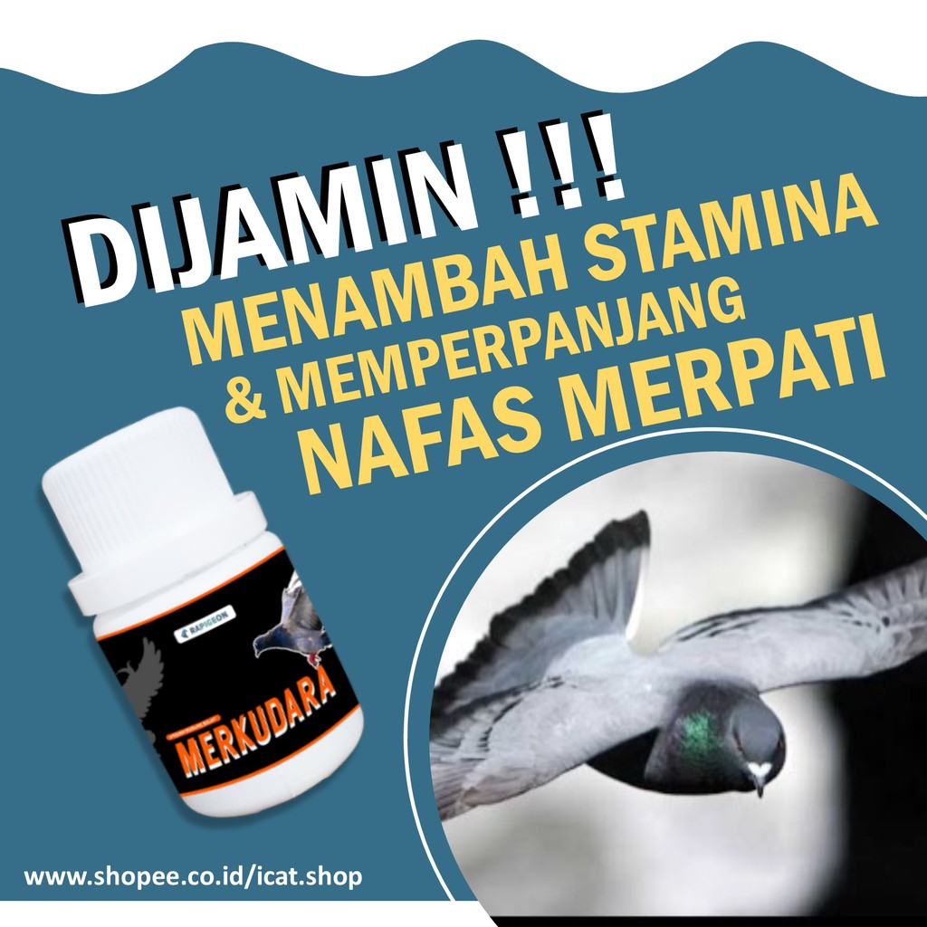Jual Merkudara Jamu Vitamin Burung Merpati Dara Nafsu Makan Panjang Nafas Birahi Daya Tahan Tubuh Merpati | Shopee Indonesia