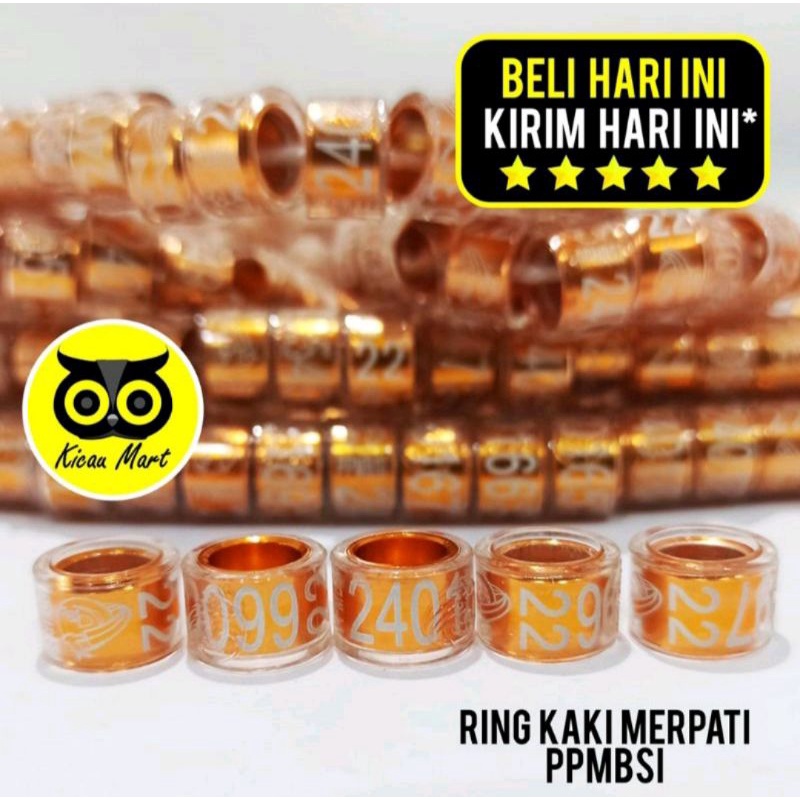 Jual Ring Merpati Ppmbsi Gelang Kaki Burung Capati Balap Kolong Datar Harian Tampil Mewah Dara | Shopee Indonesia