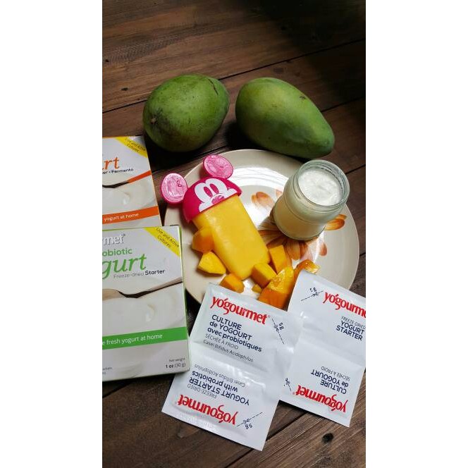 Bibit Yogurt Starter Yogourmet Shopee Indonesia