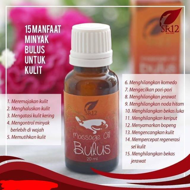 Massage Oil Bulus SR12 / Minyak Bulus Herbal Shopee Indonesia(03)