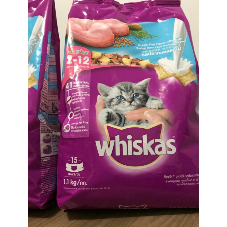 Jual whiskas junior dryfood 1,1kg Shopee Indonesia