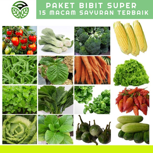 Bibit Sayuran 15 Macam, Bibit Sayur, Benih Sayuran, Bibit Sayuran Benih
