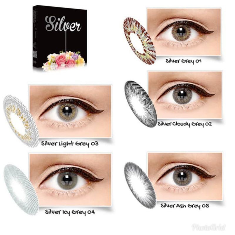 SOFTLENS ICE SILVER / NORMAL & MINUS / 15mm / X2 / Softlen Soflen