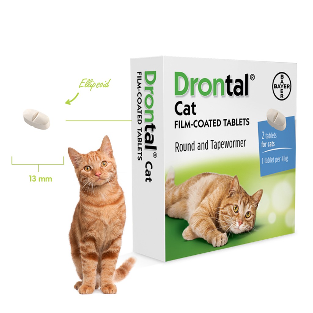 Drontal Plus Cat Shopee Indonesia