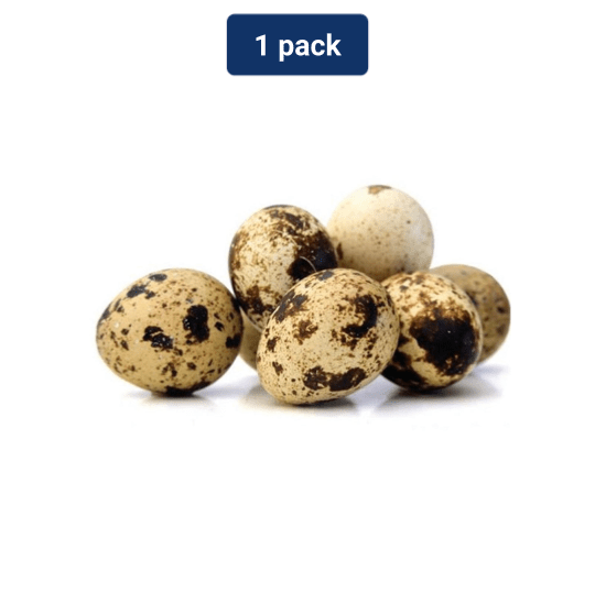 Jual Telur Puyuh 1 pack (45 butir) Shopee Indonesia