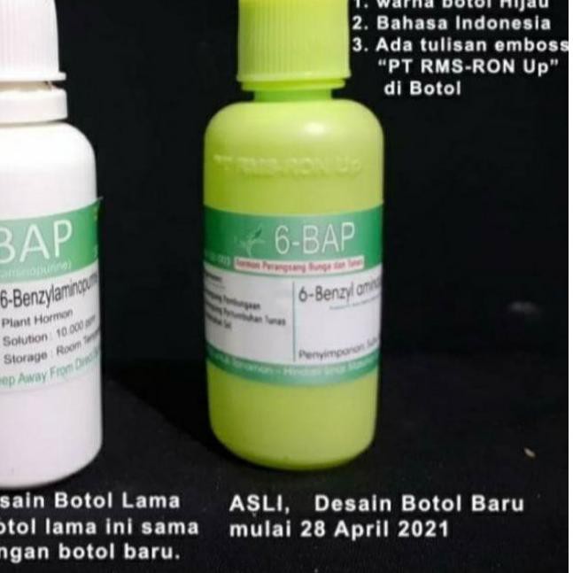 PROMO BESAR KODE764 Hormon 6 BAP Benzylaminopurine penumbuh tunas