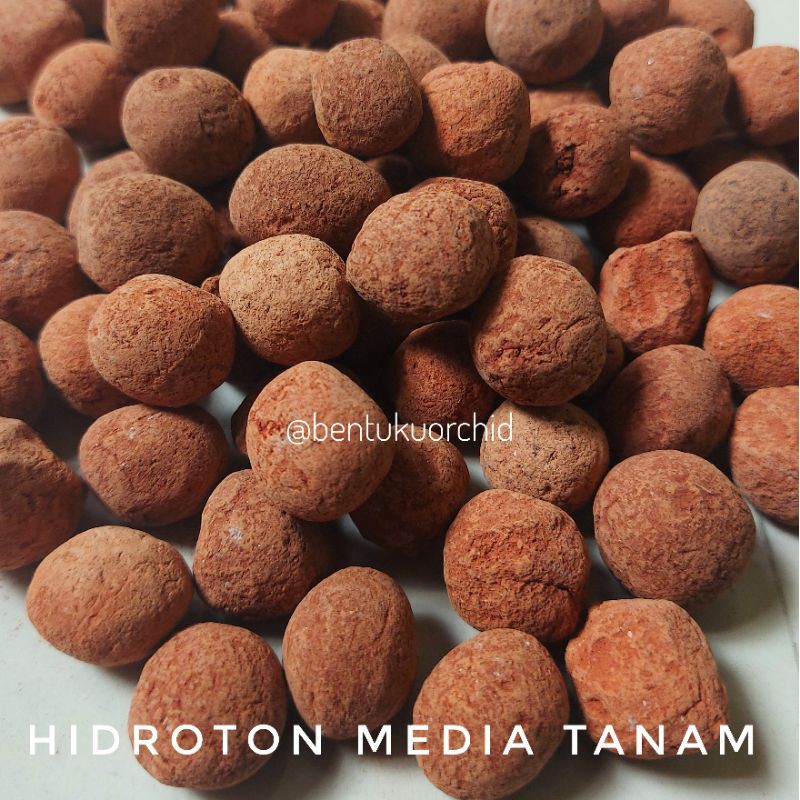 Jual Hidroton/Hydroton/Media Tanam Hidroton Kemasan 1 Kg | Shopee Indonesia