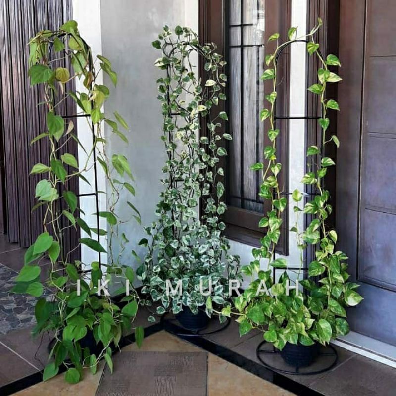 STANDING RAK BESI RAMBAT/RAK TANAMAN RAMBAT/RAK BUNGA RAMBAT(Restok) |  Shopee Indonesia