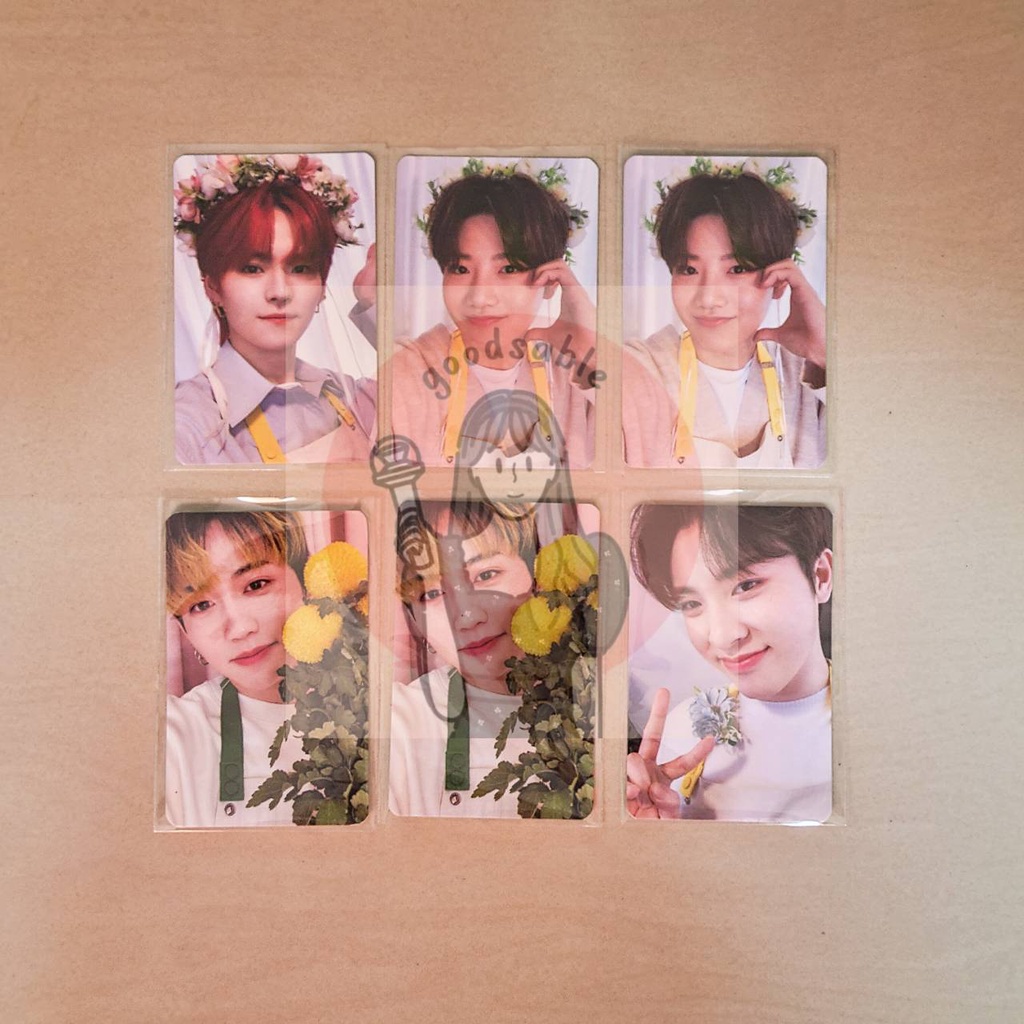 Jual [Ready Stock] POB Weverse Treasure Blooming Photo Book