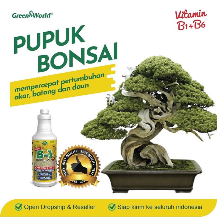Jual Pupuk Bonsai Super Paling Manjur Greenworld Vitamin B1+B6 998Ml  Indonesia|Shopee Indonesia
