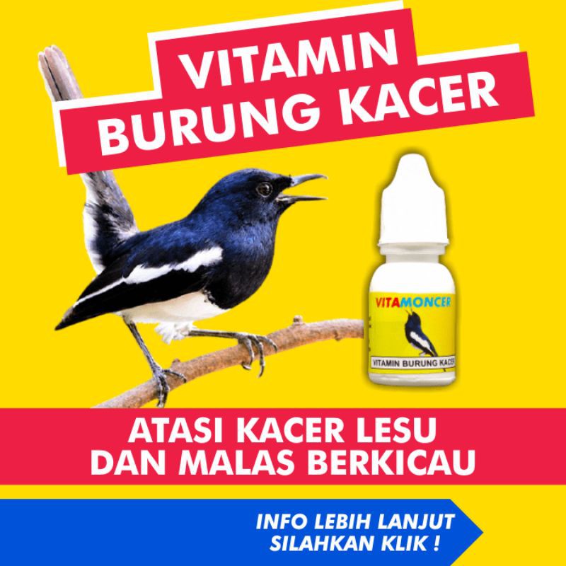 Jual Vitamin Obat Burung Kacer Kicau Gacor Konslet Paling Ampuh Vita Moncer Indonesia|Shopee Indonesia 800_X_800_jpg