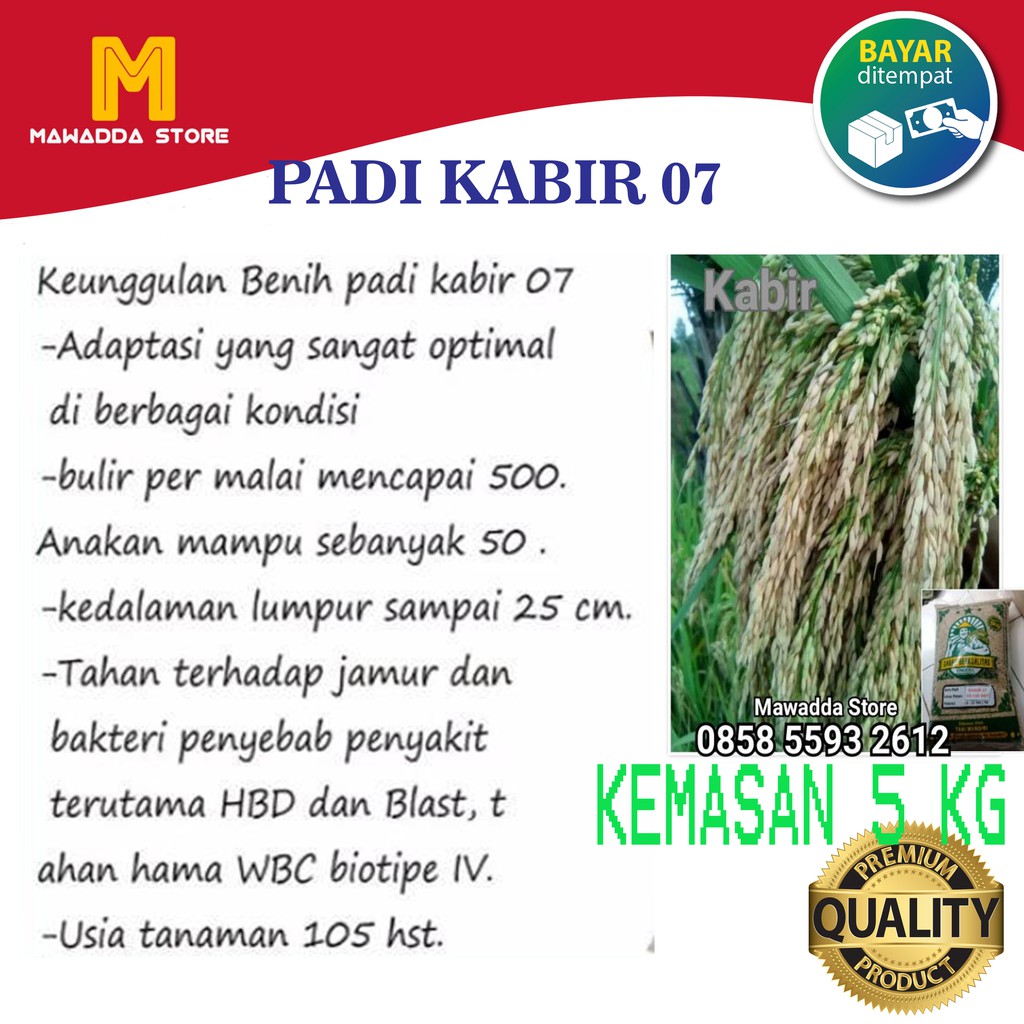 Benih Padi Kabir 07 Bibit Unggul 5 kg Shopee Indonesia
