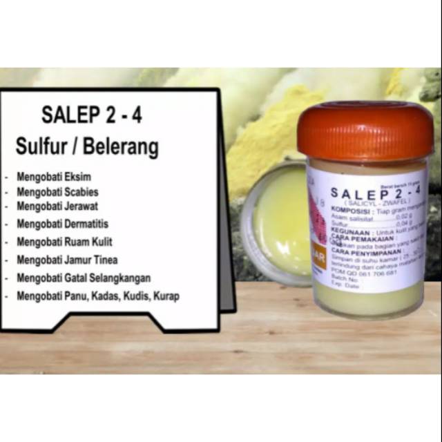 Salep 2-4 ampuh mengobati berbagai macam penyakit kulit | Shopee Indonesia