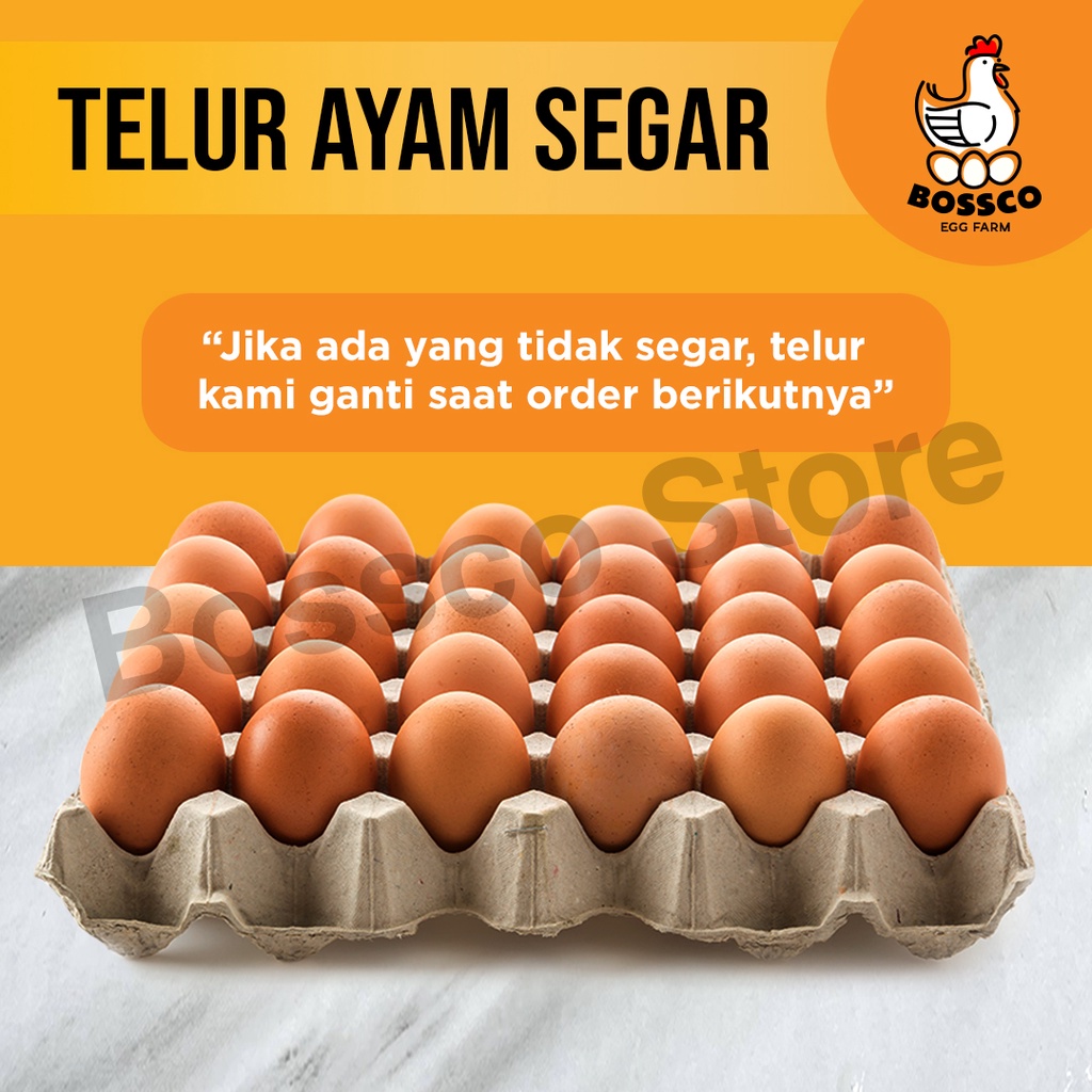 telur ayam sekilo isi berapa Robert Howard