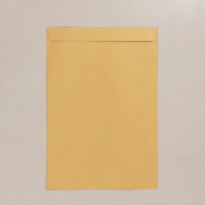 Jual Amplop Coklat Polos Folio / Map Coklat Polos Ukuran Folio / F4 | Shopee Indonesia