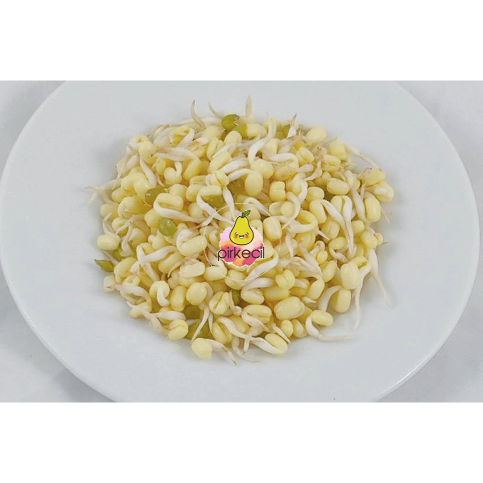 Toge Rawon / Tauge pendek 200 gr Shopee Indonesia