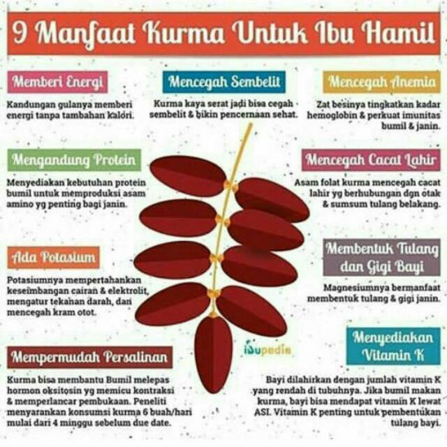 Buah Melinjo Untuk Ibu Hamil Muda Seputar Buah