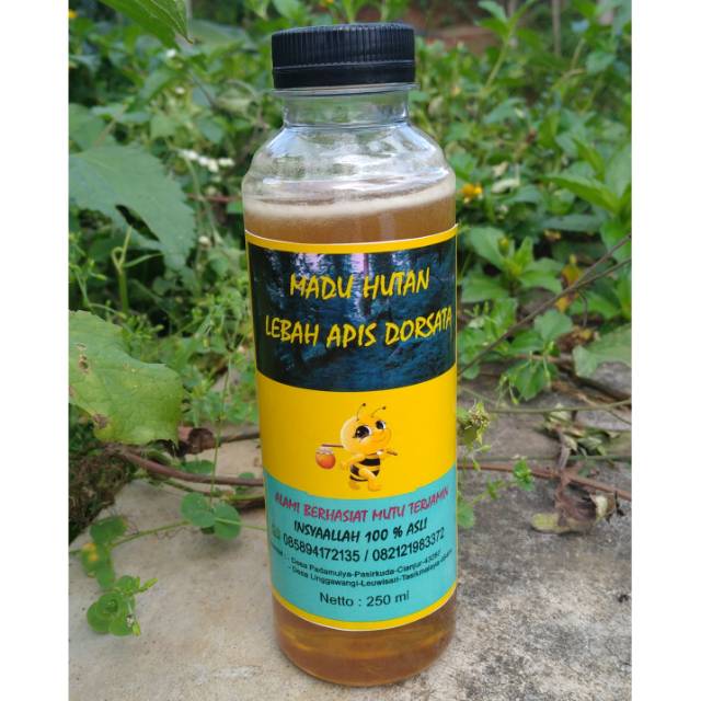 MADU HUTAN ASLI LEBAH APIS DORSATA | Shopee Indonesia