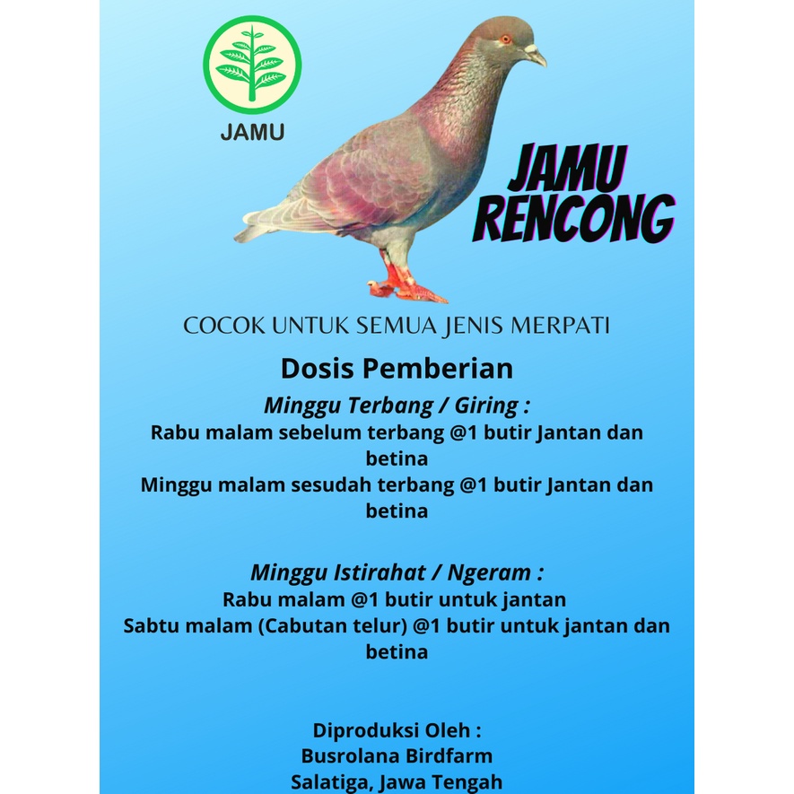Jual Jamu Pil Rencong Doping Herbal Merpati Balap Sprint Kolong Tinggian Terbaik Termurah Untuk Giring Stamina Merpati Stut Dor Mental Petarung Anti Lelah Saat Lomba Dan Istirahat | Shopee Indonesia