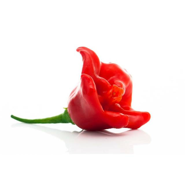 Benih Cabe cabai BISHOP CROWN hias + bisa dikonsumsi | Shopee Indonesia