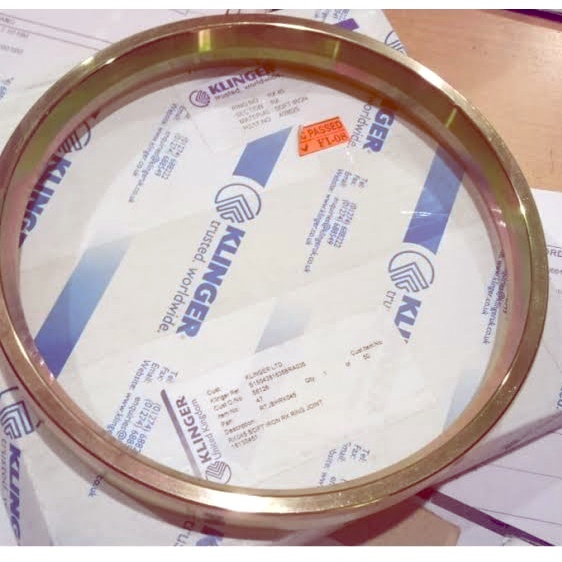 Jual Ring Joint Gasket Rtj Octagonal Class 900 R24 Soft Iron Klinger