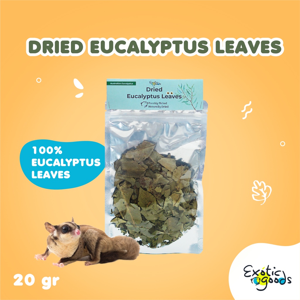 Jual AUSTRALIAN DRIED EUCALYPTUS LEAVES 20g SNACK SEHAT SUGAR GLIDER DAUN EUCALYPTUS KERING ALAS