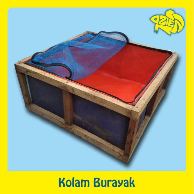 Kolam Terpal untuk Burayak Ikan Cupang / Guppy / Molly / Platy | Shopee  Indonesia