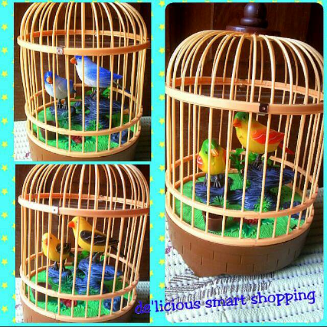 Jual Mainan Burung Bisa Bernyayi Dalam Sangkar | Shopee Indonesia