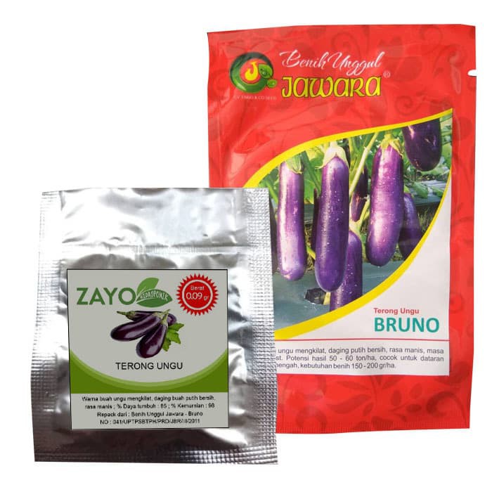 Review Of Benih Terong 2022