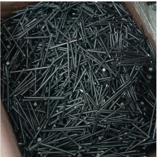 Jual jual paku kayu 5 cm murah 1 kg Shopee Indonesia