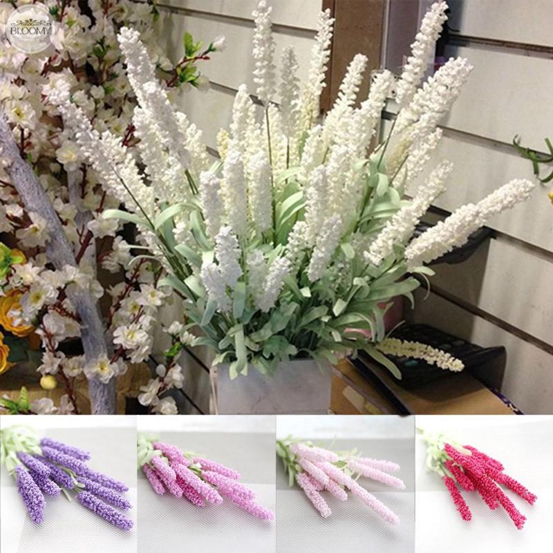 Paling Keren 20+ Gambar Aneka Bunga Lavender Gambar Bunga Indah
